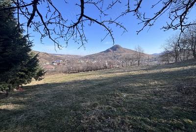 Teren de 5000 mp, în Gârcina