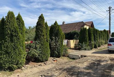 Casă cu Teren 190 Mp în Peciu Nou