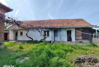 Casă cu 5 camere cu Teren 4122 Mp în Cociuba Mare - 3
