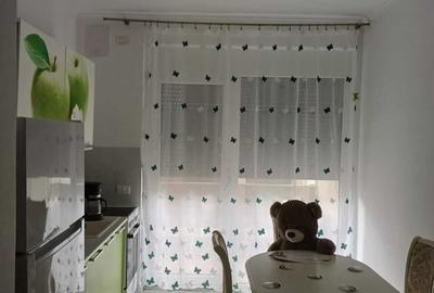 Apartament cu 2 camere semidecomandat în Central - 5