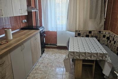 Apartament cu 2 camere decomandat în Lăpuș - 4