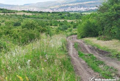 Teren agricol intravilan de 700 mp, în Sopor - 10