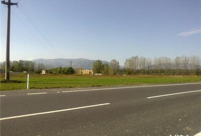 Teren de 8700 mp, în Veștem - 2