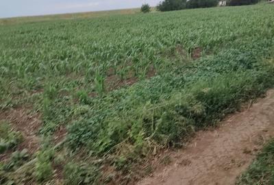 Teren Construcții intravilan de 6100 mp, în Periferie - 1
