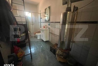 Casă cu 4 camere cu Teren 6000 Mp în Bocșa