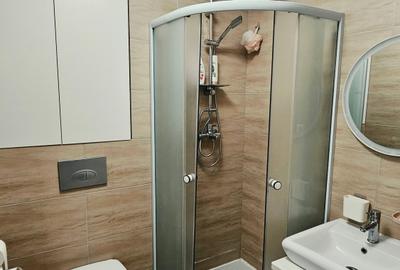 Garsonieră semidecomandată în Tunari - 4