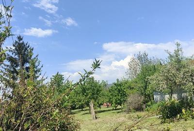 Casă cu 3 camere în Boldești