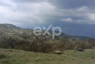 Teren Construcții extravilan de 4944 mp, în Tigveni - 1