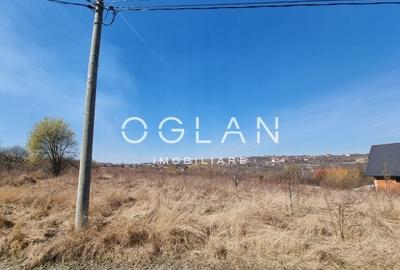 Teren Construcții intravilan de 8000 mp, în Daia - 4