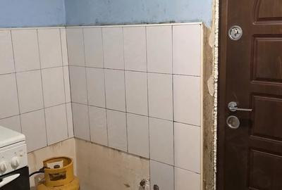 Garsonieră decomandată în Ozana - 4