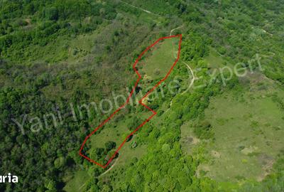 Teren de 19452 mp, în Central
