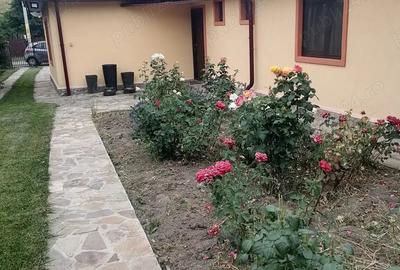 Casă cu 4 camere cu Teren 2000 Mp în Central - 9