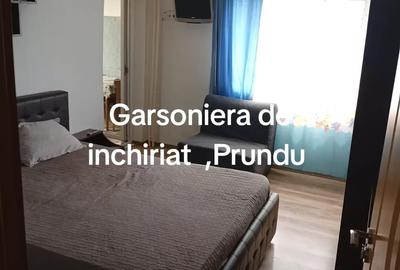 Garsonieră semidecomandată în Prundu - 2