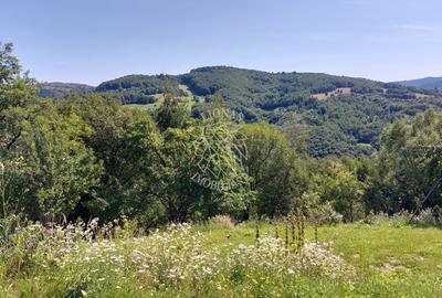 Teren agricol extravilan de 31555 mp, în Răchițele - 7