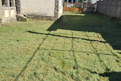 Casă cu Teren 1300 Mp în Bughea de Sus - 2