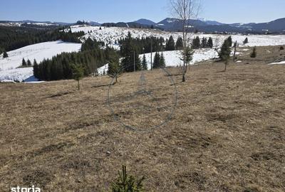 Teren de 1500 mp, în Tiha Bârgăului - 3