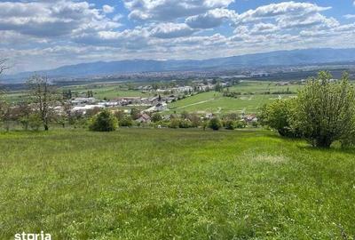 Teren de 4000 mp, în Șura Mare - 3