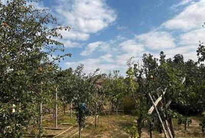 Casă cu 4 camere cu Teren 5400 Mp în Ceamurlia de Sus - 5
