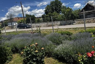 Casă cu 2 camere cu Teren 1800 Mp în Slava Rusă