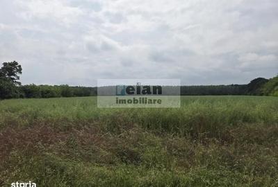 Spațiu comercial, în Ciolpani