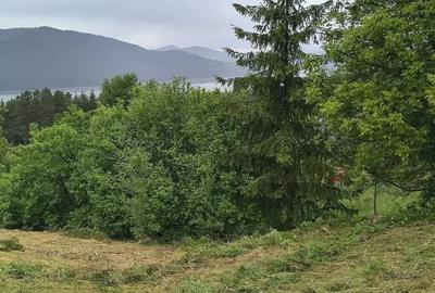 Teren de 930 mp, în Hangu - 4