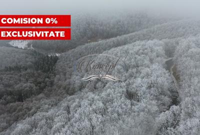 Casă individuală cu 1 camere cu Teren 3100 Mp în Elciu - 8