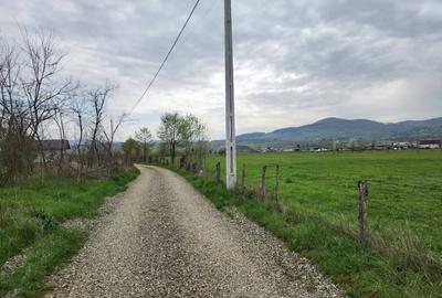 Teren Construcții intravilan de 13377 mp, în Est - 1