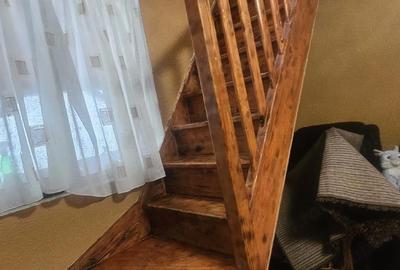 Casă cu Teren 3435 Mp în Peciu Nou - 10