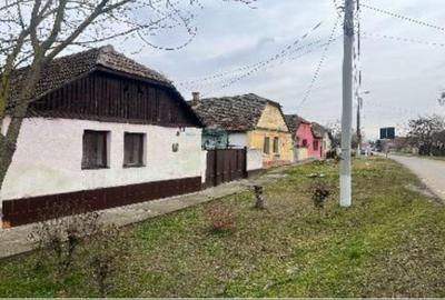 Casă cu 2 camere cu Teren 766 Mp în Periam - 3
