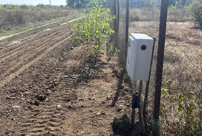 Teren de 560 mp, în Bordei