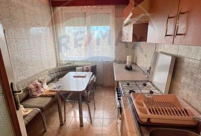 Apartament cu 2 camere semidecomandat, mobilat în Podgoria - 2