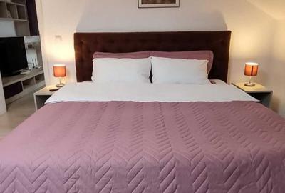 Apartament cu 2 camere decomandat în Frumoasa