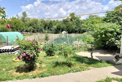 Casă cu Teren 1250 Mp în Cămineasca