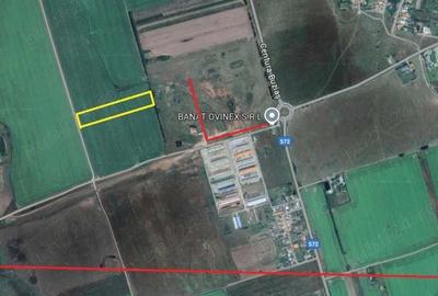 Teren de 11400 mp, în Central