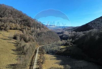 Teren agricol extravilan de 16466 mp, în Mara - 6