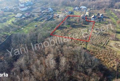 Casă cu 2 camere cu Teren 3500 Mp în Merișani - 2
