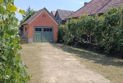 Casă cu 3 camere cu Teren 3000 Mp în Murgești