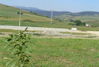 Teren de 5500 mp, în Stejeriș - 8
