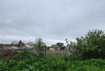 Casă cu 3 camere în Rogova