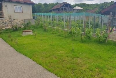 Casă cu 3 camere în Bala
