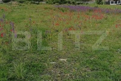 Teren de 980 mp, în Săcălaz