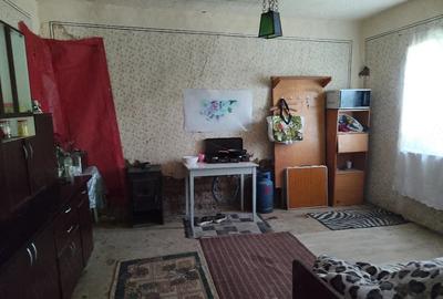 Casă cu 3 camere cu Teren 10000 Mp în Central - 9