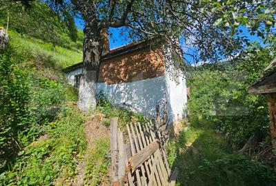 Casă cu Teren 1343 Mp în Căpâlna - 6