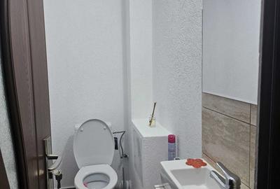 Apartament cu 2 camere decomandat în Aradul Nou - 5