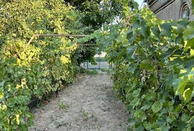 Casă cu 4 camere cu Teren 350 Mp în Păcii