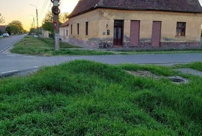 Casă cu Teren 2158 Mp în Comloșu Mare - 9