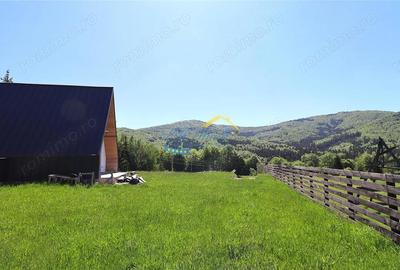 Casă cu Teren 400 Mp în Valea Doftanei - 4