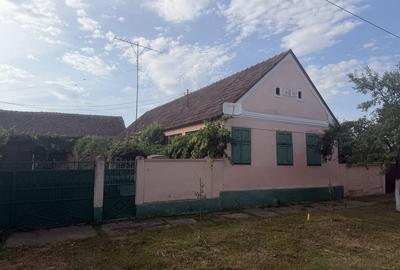 Casă cu 4 camere în Alioș