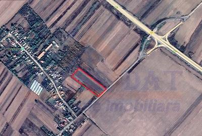 Teren agricol intravilan de 12400 mp, în Olteni (Uliești) - 1