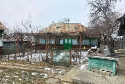 Casă în Zvoriștea - 1